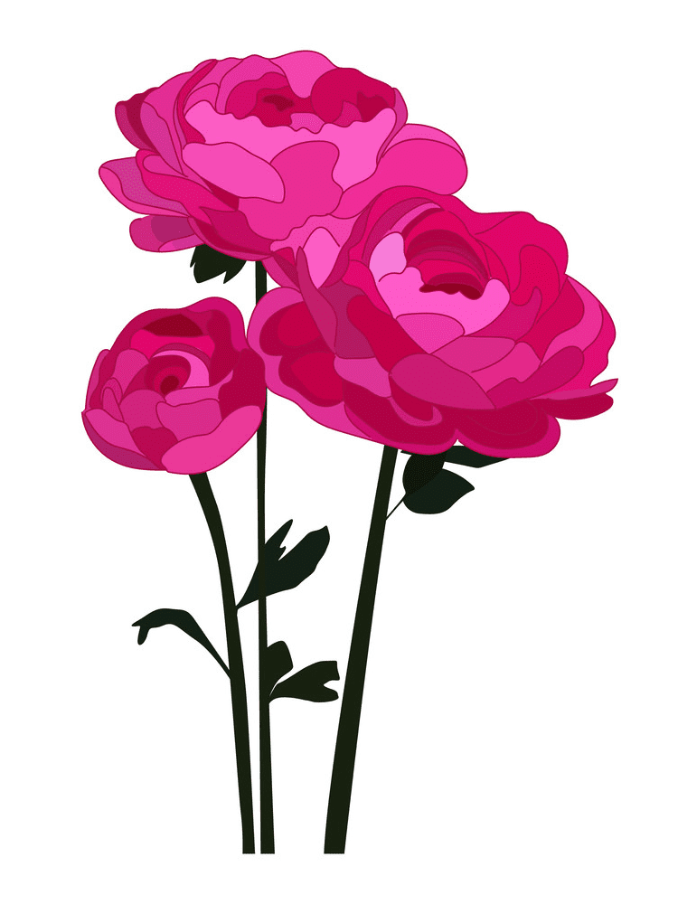 Peonies Clipart Png