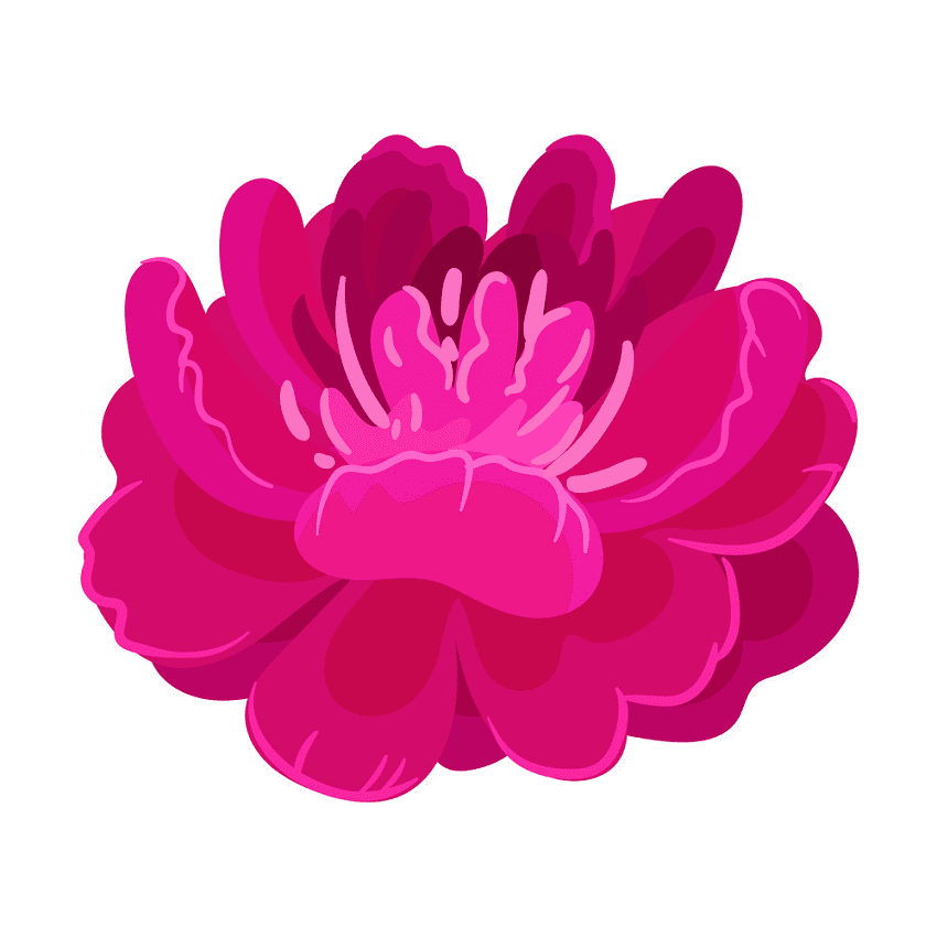 Peony Clipart Png For Free