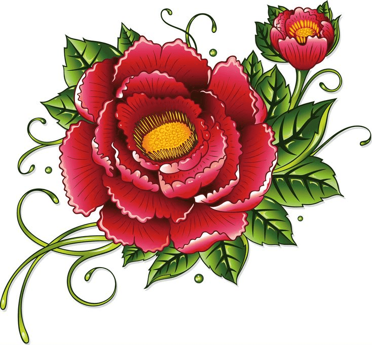Peony Clipart Png Photo