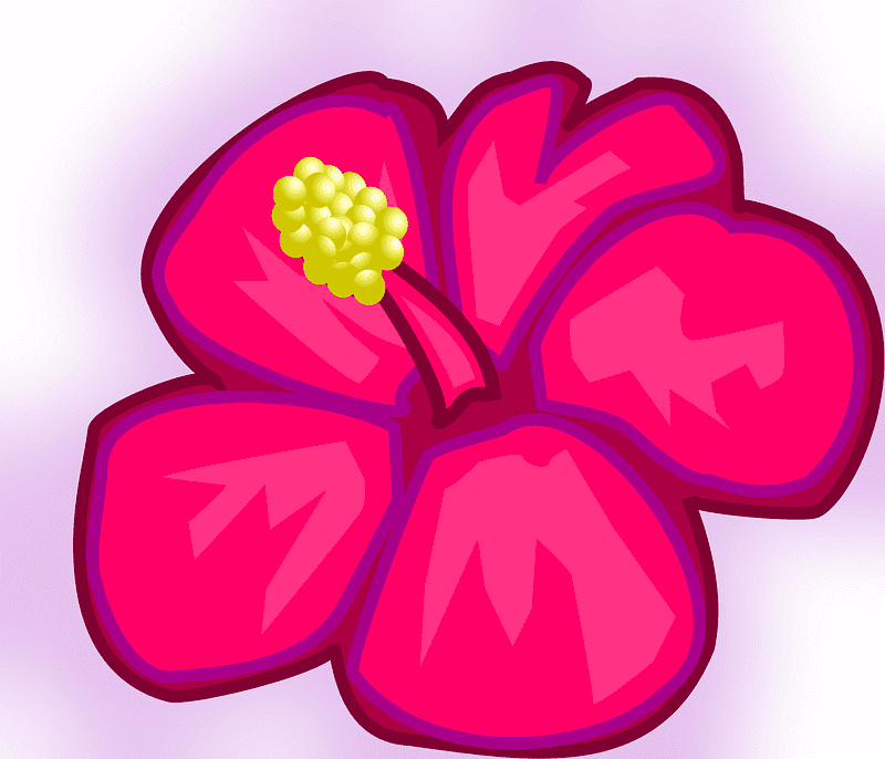 Pink Hibiscus Clipart