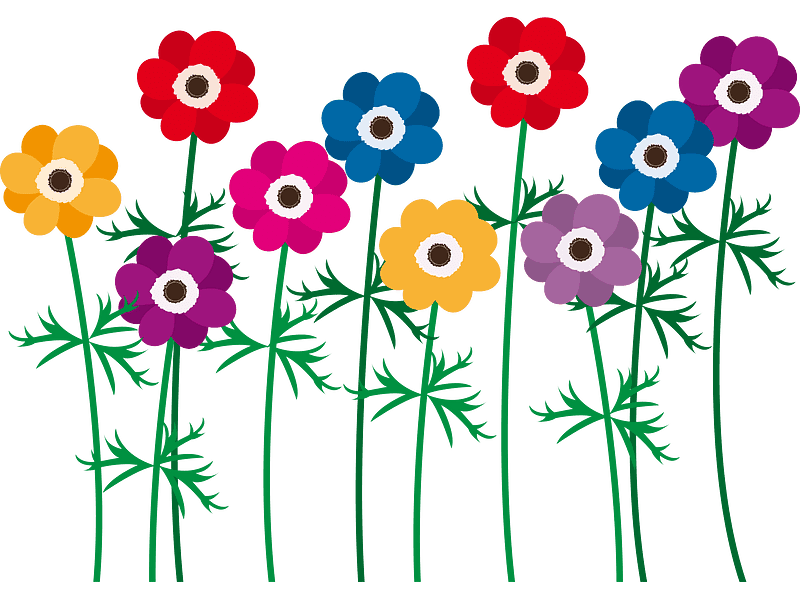 Poppies Clipart Transparent Image