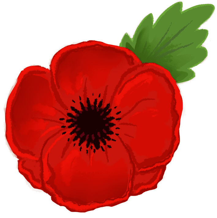 Poppy Clipart For Free