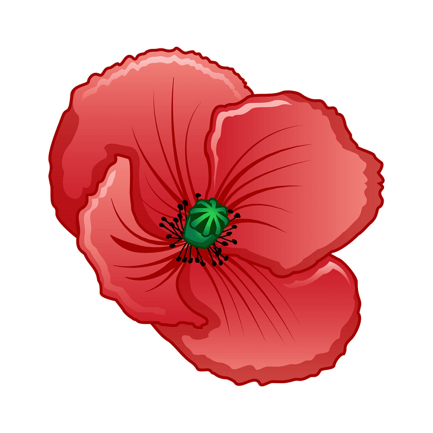 Poppy Clipart Free Picture