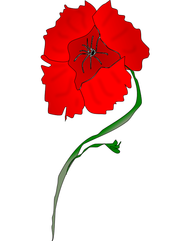 Poppy Clipart Pictures