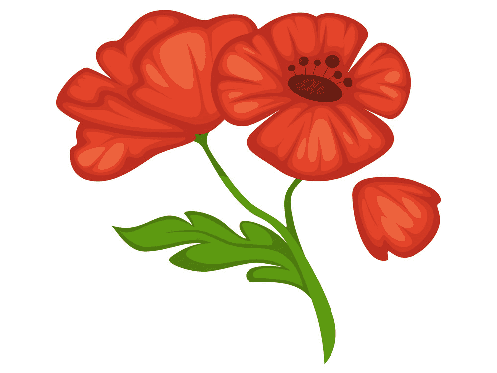 Poppy Clipart Png Image