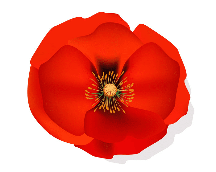 Poppy Clipart Png Picture