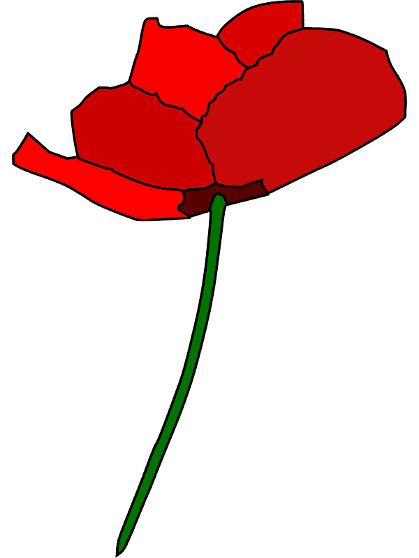 Poppy Clipart Transparent For Free