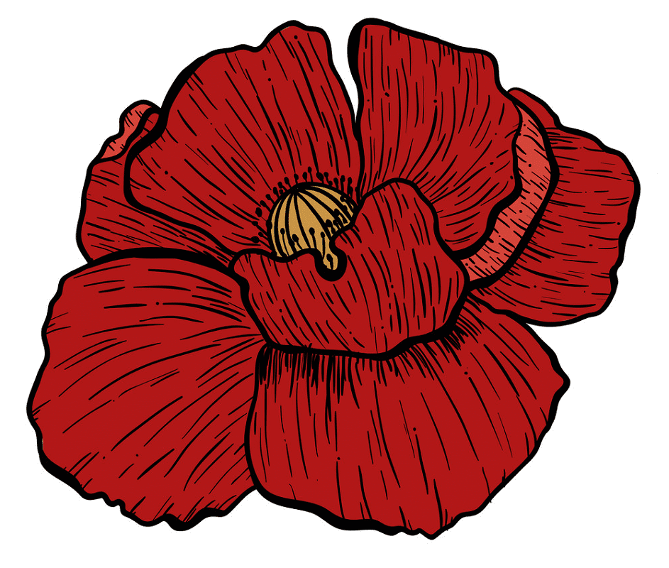 Poppy Flower Clipart Images