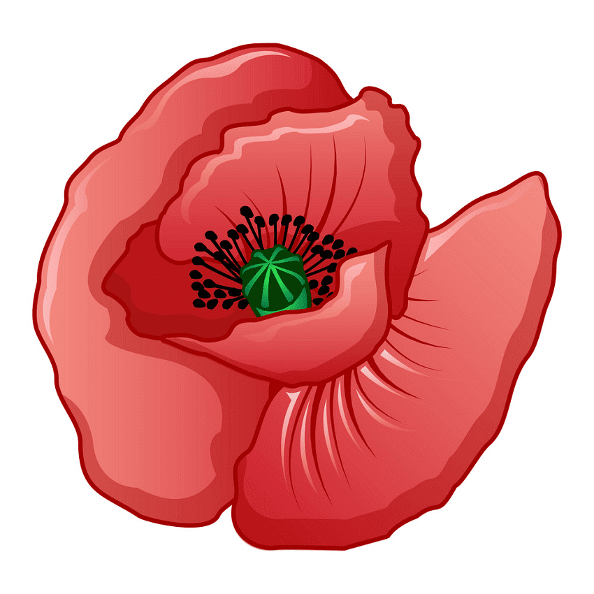 Poppy Flower Clipart Png Free