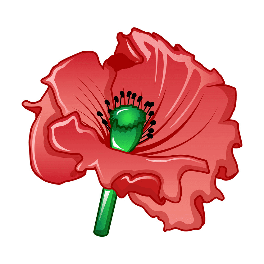 Poppy Flower Clipart Png Image