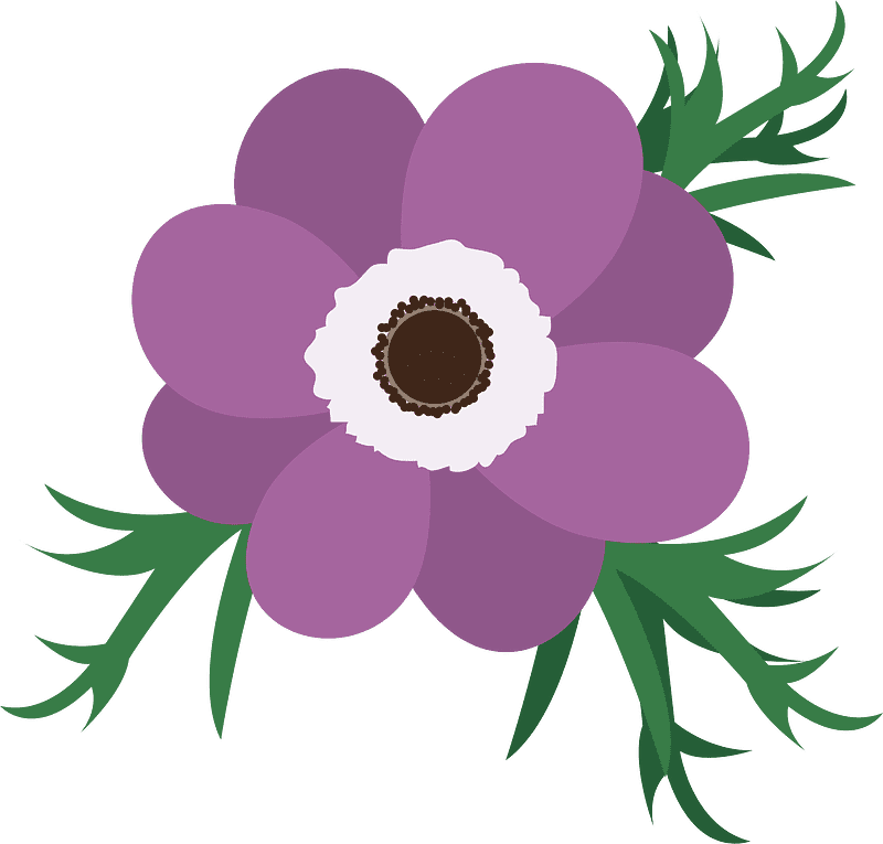 Poppy Flower Clipart Transparent Free