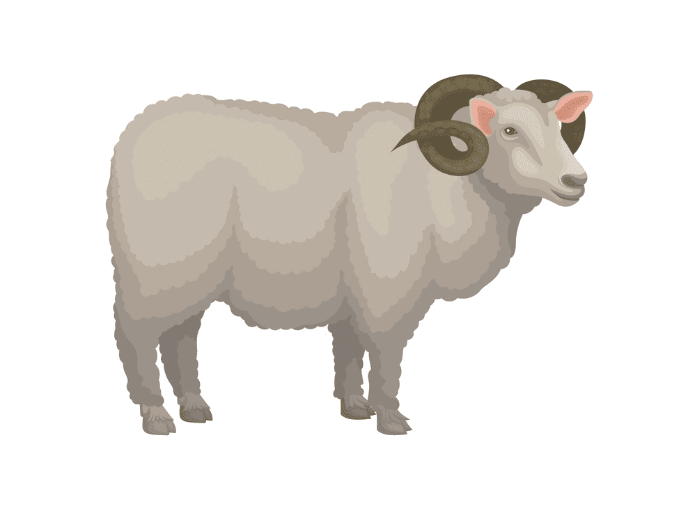 Ram Clipart For Free