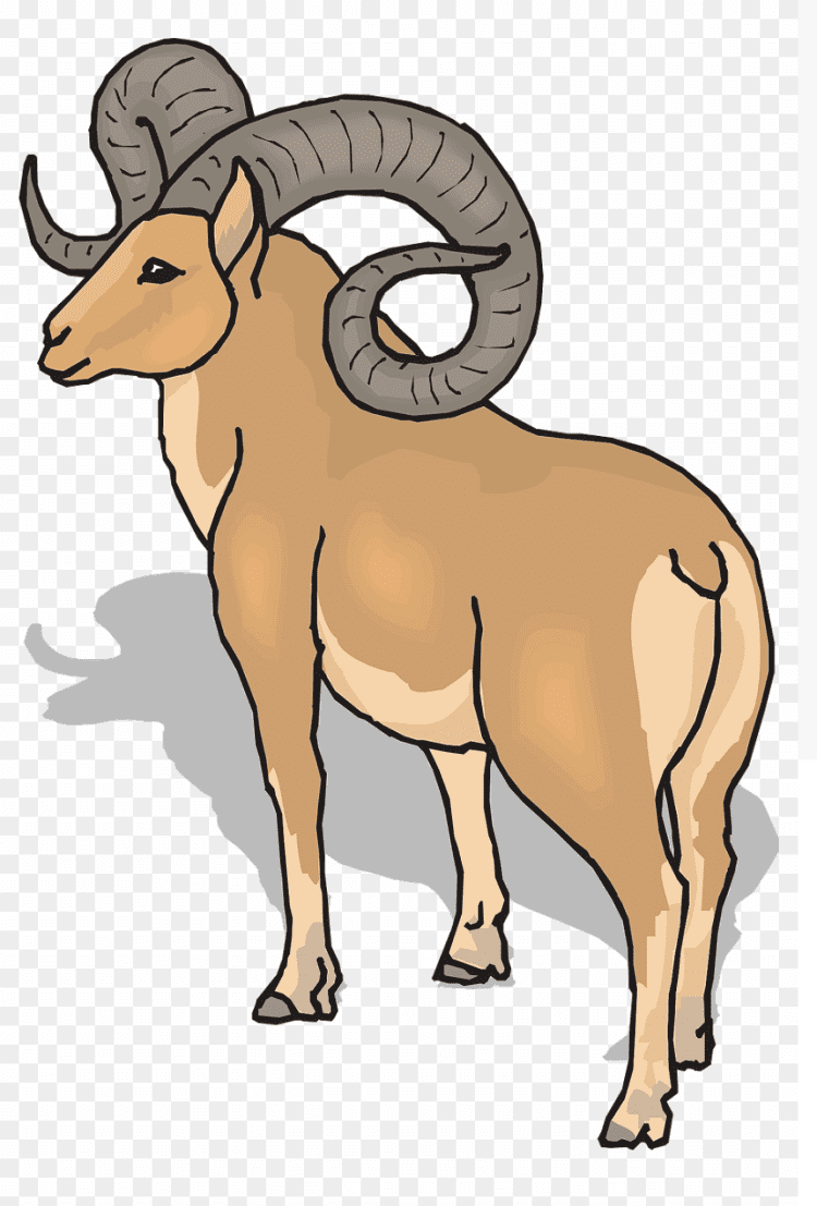 Ram Clipart Free Images