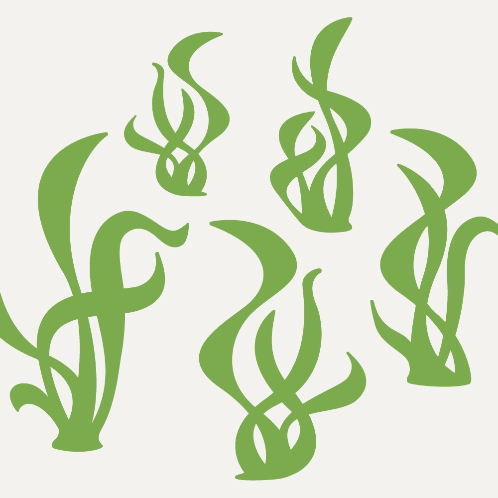 Seaweed Clipart Download