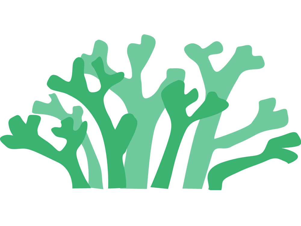 Seaweed Clipart Free Download