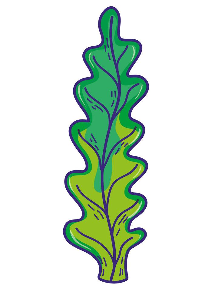 Seaweed Clipart Free Png Images