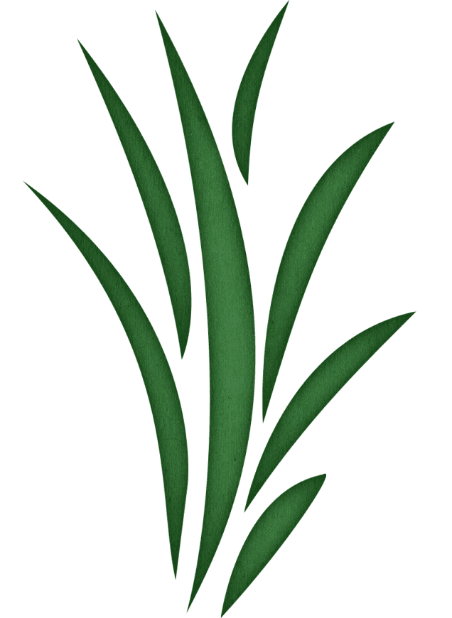 Seaweed Clipart Png For Free