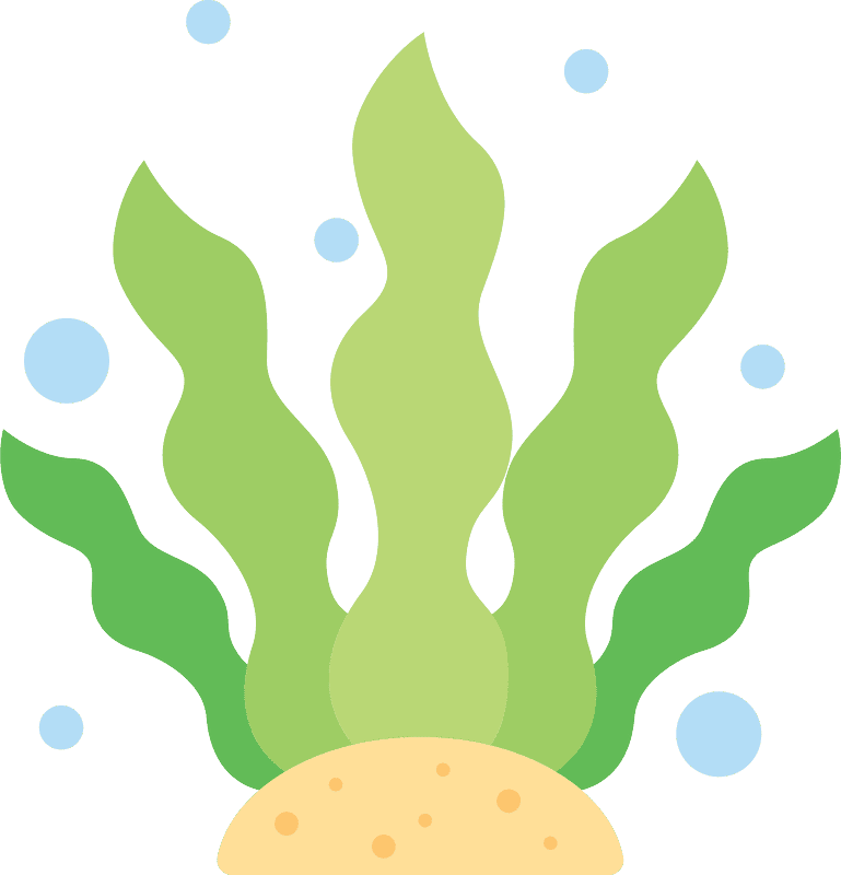 Seaweed Clipart Transparent Background (1)