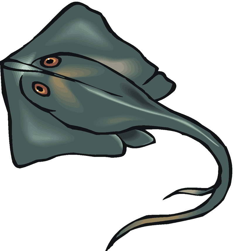 Stingray Clipart For Free