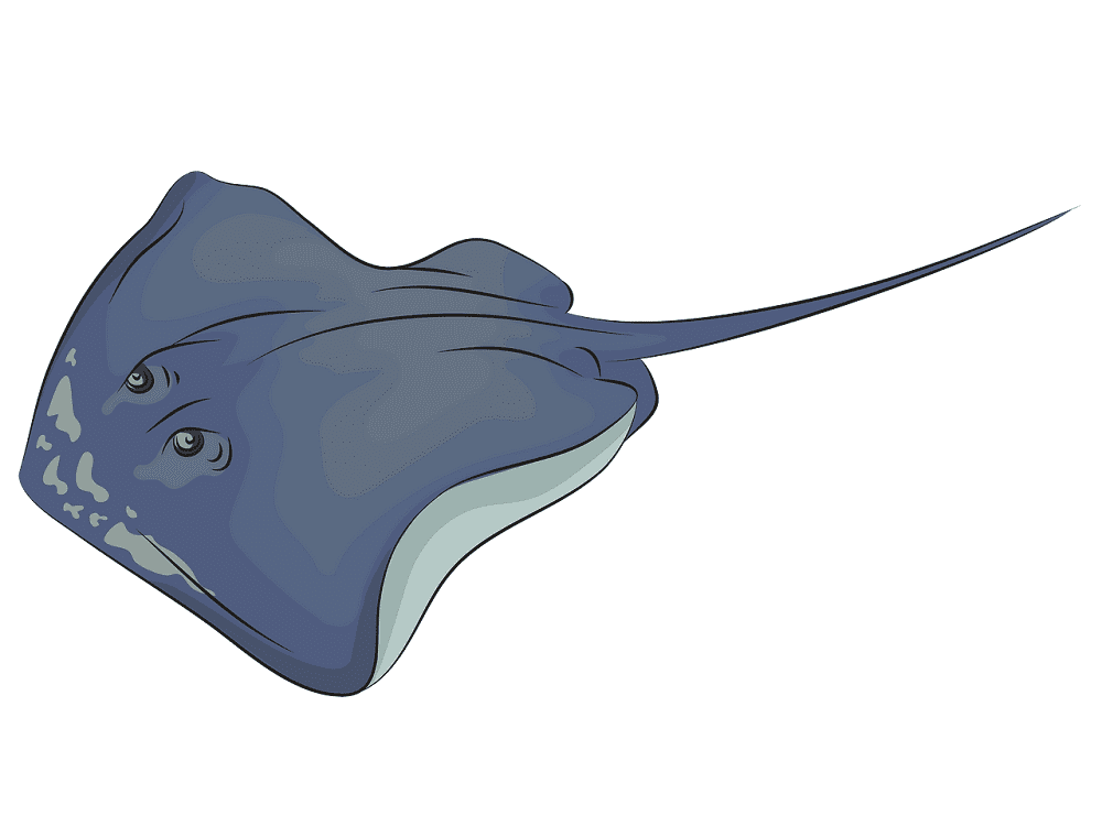 Stingray Clipart Png Free