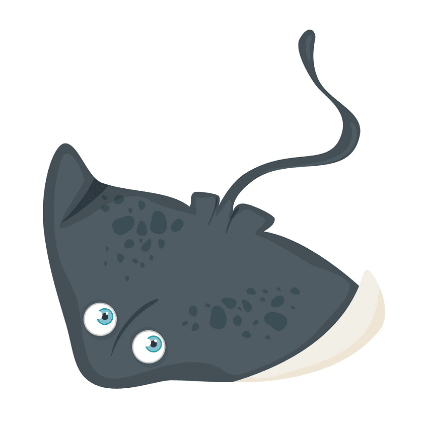 Stingray Clipart Png Images