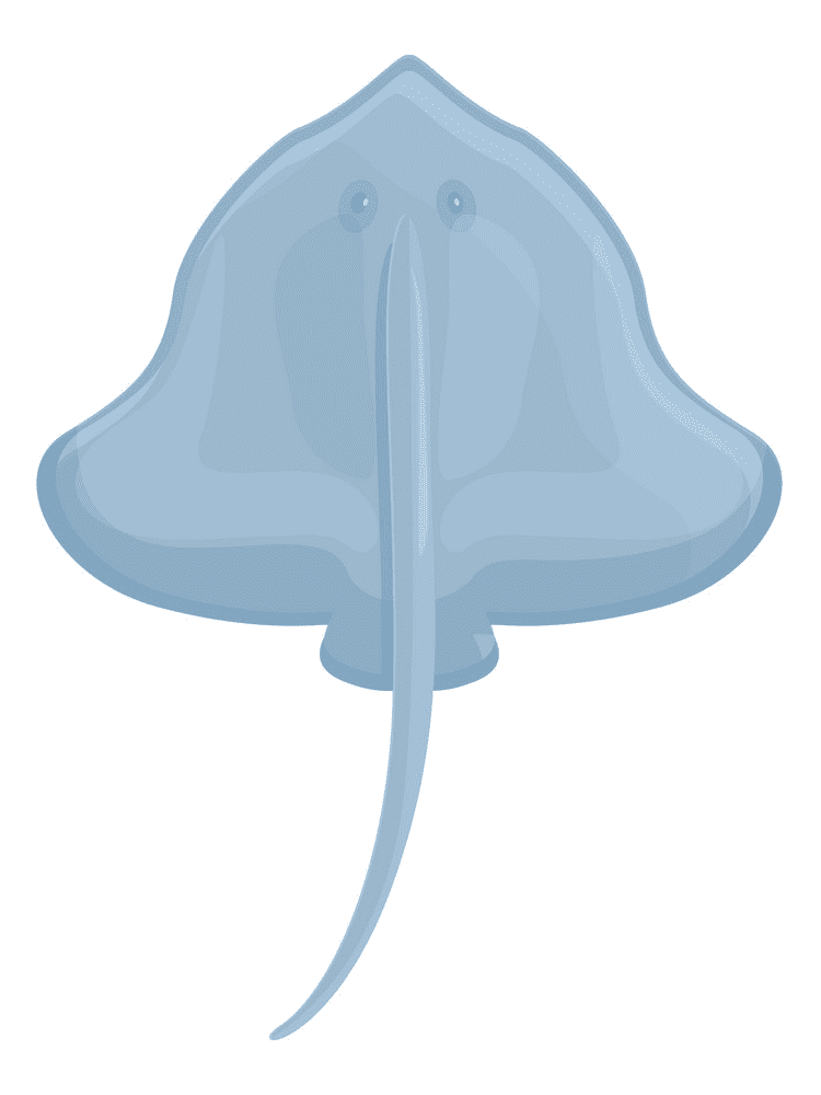 Stingray Clipart Png Photo