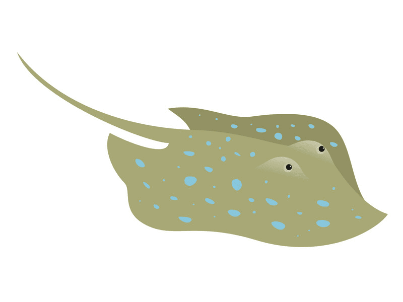 Stingray Clipart Png Picture