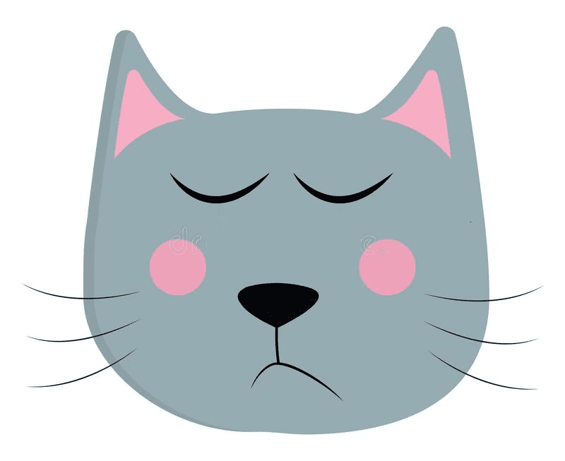 Cat Face Clipart Png Photo