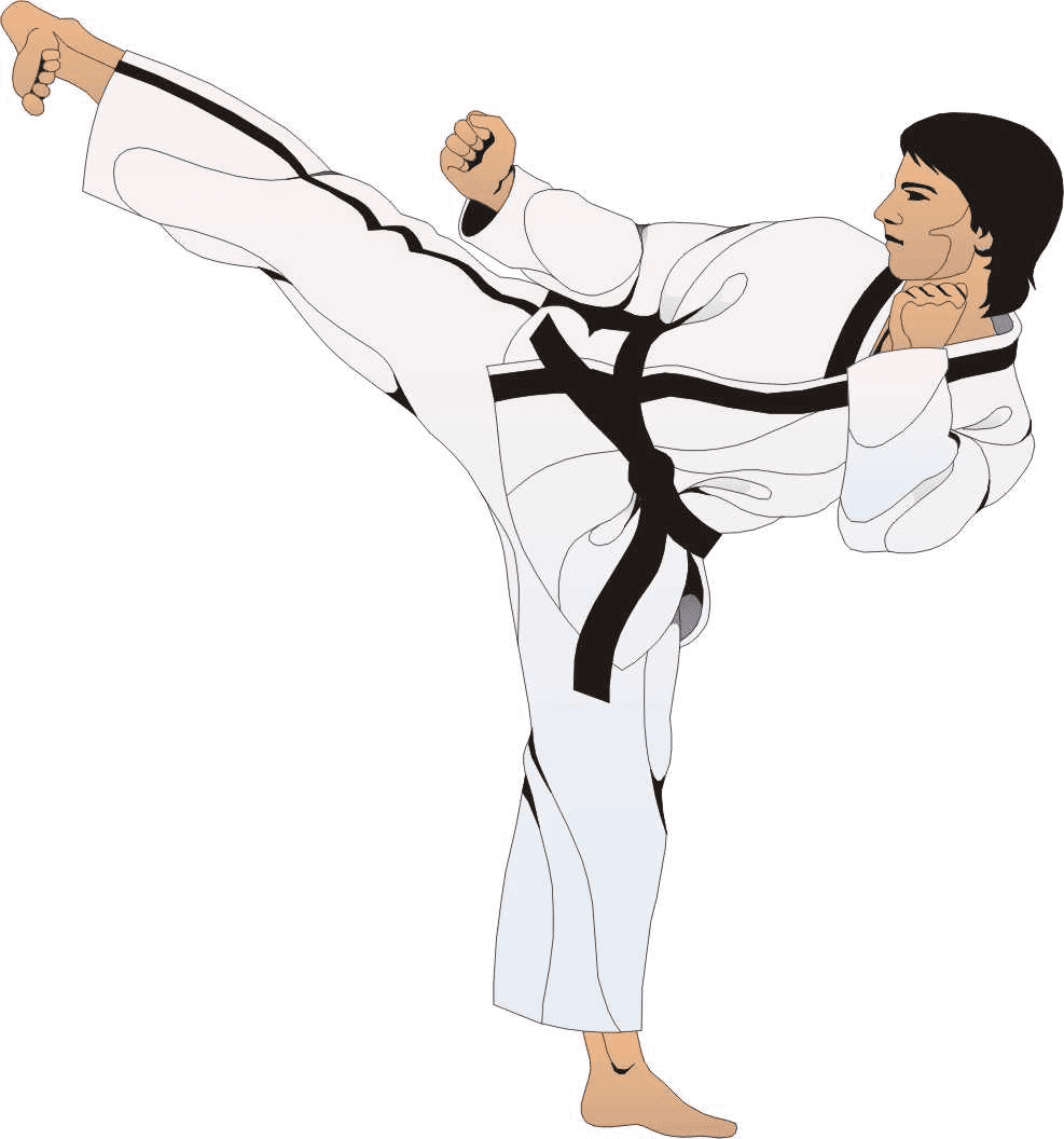 Karate Clipart Image