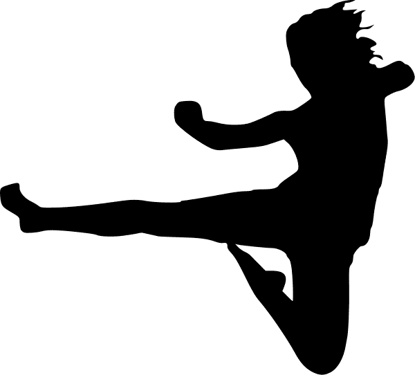 Karate Kick Silhouette