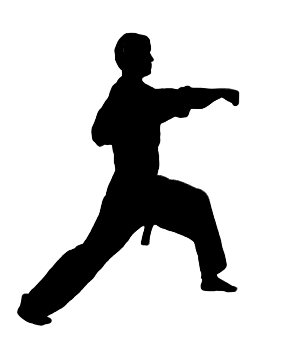 Karate Silhouette Image