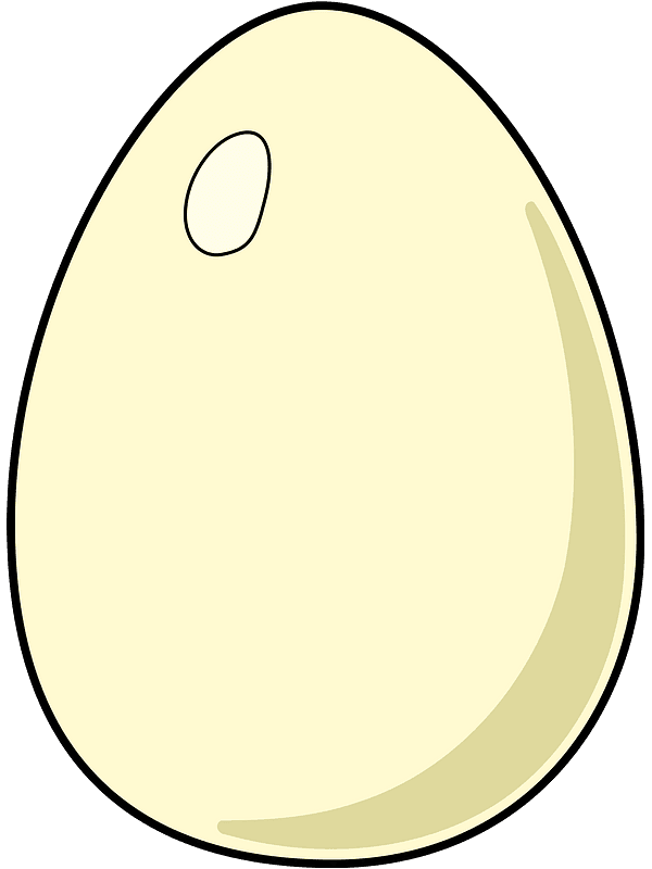 White Egg Clipart Transparent