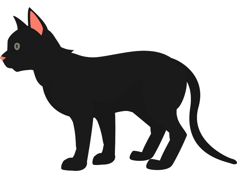 Black Cat Clipart Transparent Photo