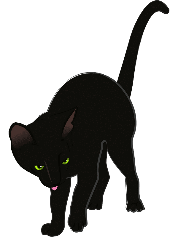 Black Cat Clipart Transparent Photos