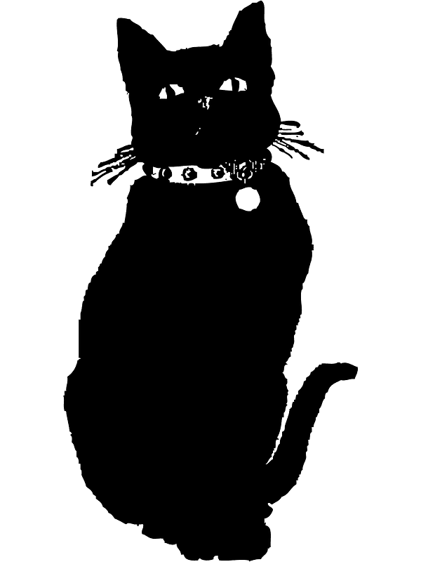 Black Cat Clipart Transparent