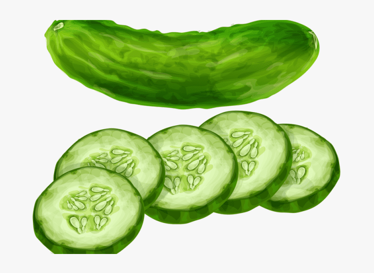 Cucumber Clipart Free Download