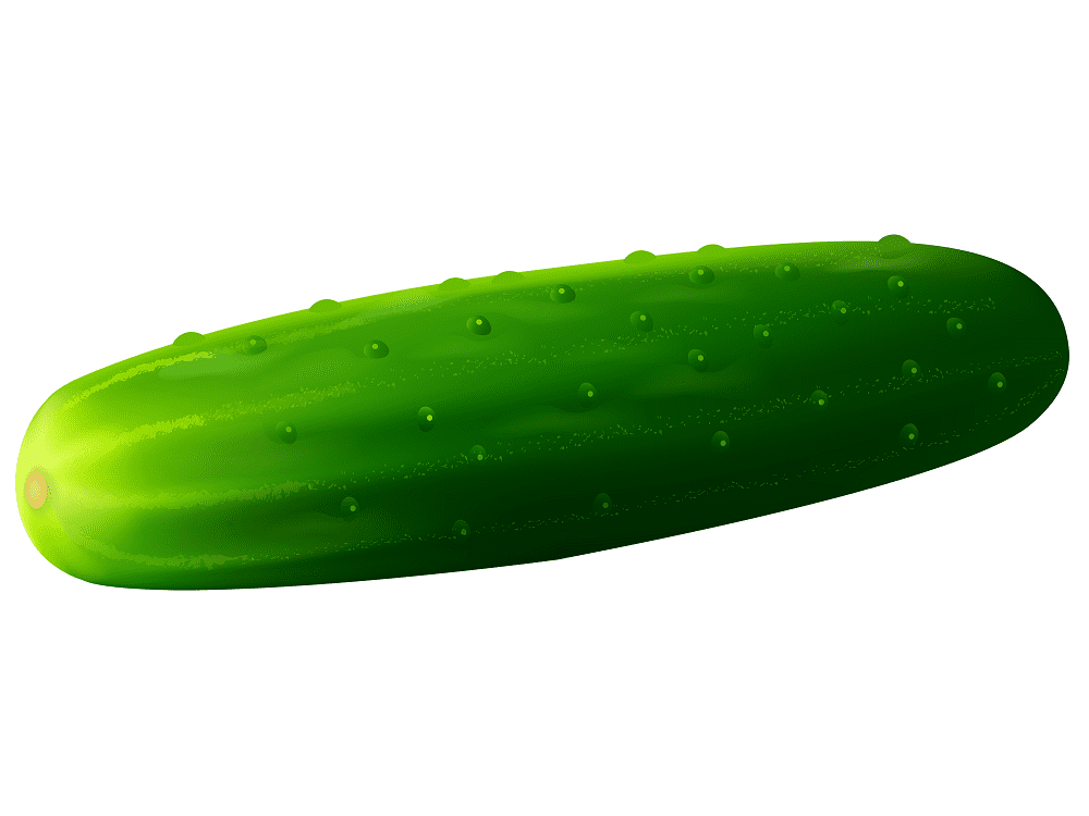 Cucumber Clipart Free