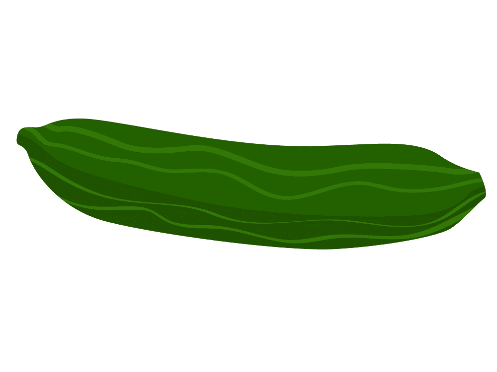 Cucumber Clipart Picture