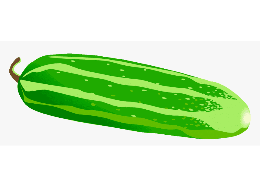 Cucumber Clipart Png Free