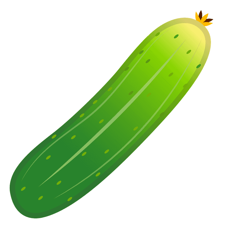 Cucumber Clipart Transparent (4)