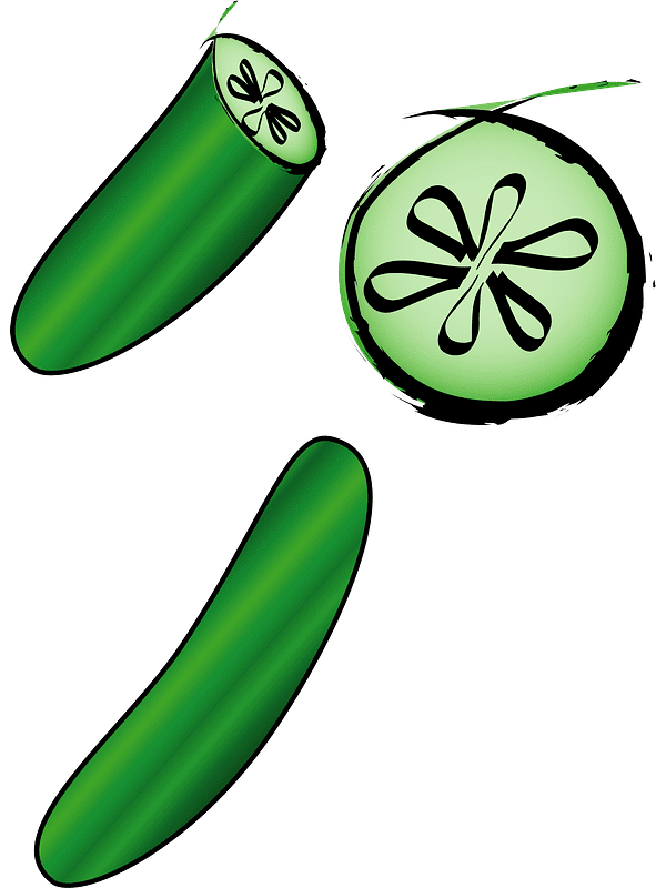Cucumber Clipart Transparent