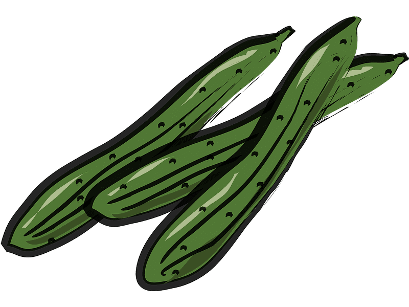 Cucumbers Clipart Transparent