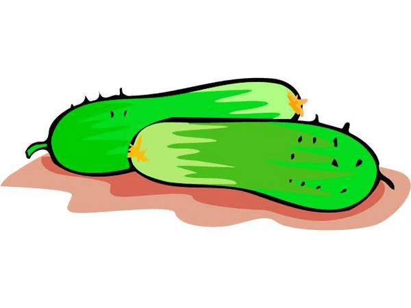 Cucumbers Clipart