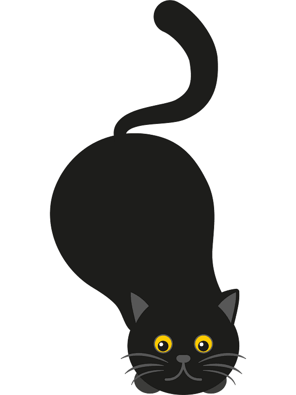 Download Black Cat Clipart Transparent