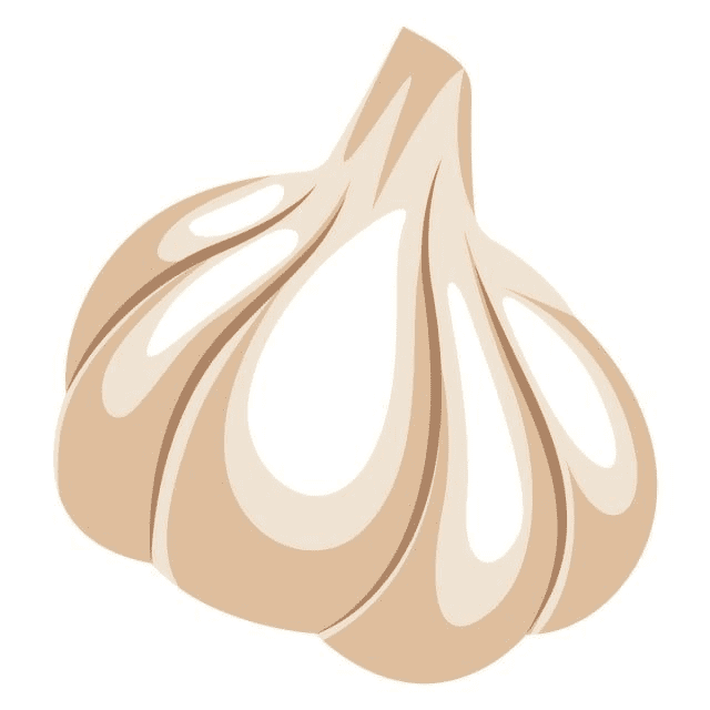 Garlic Clipart Pictures