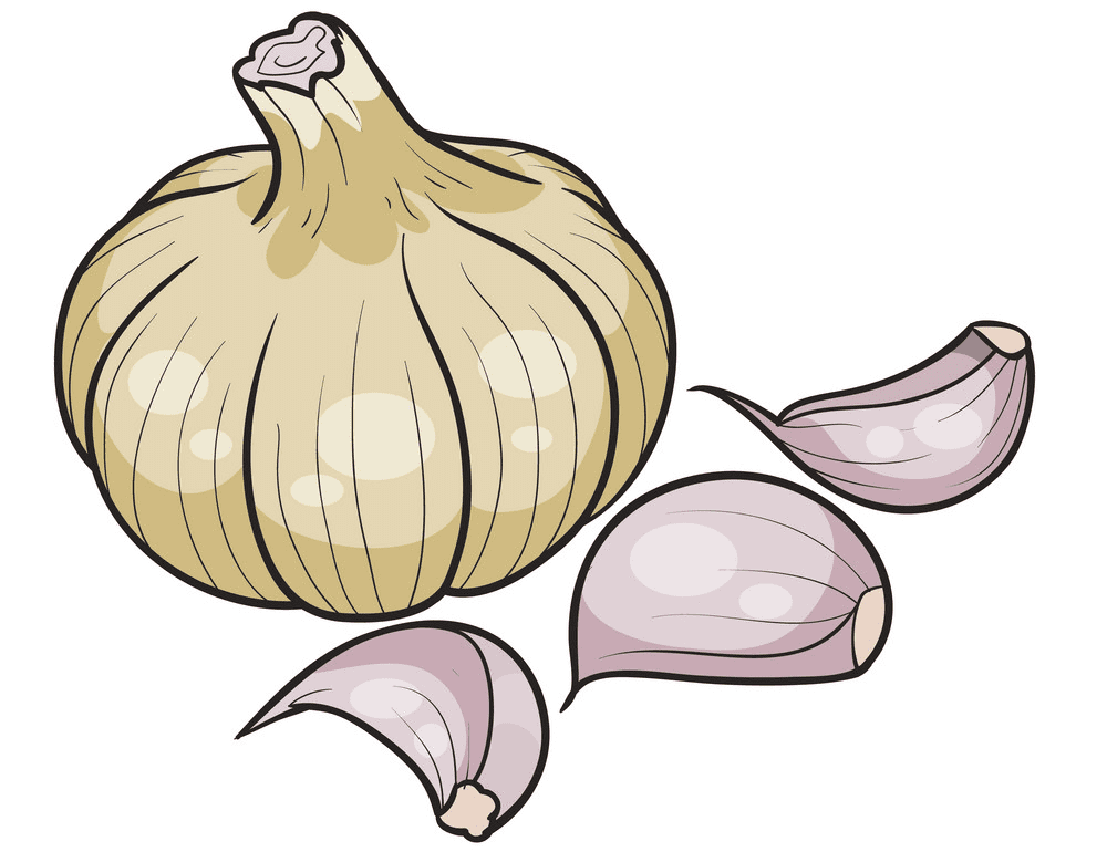 Garlic Clipart Png Image