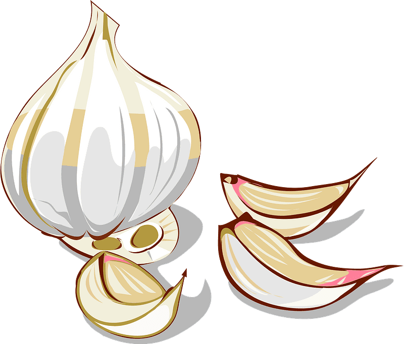 Garlic Clipart Transparent Free