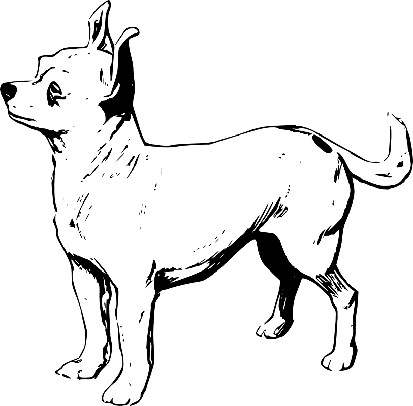 Chihuahua Clipart Black and White