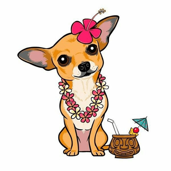 Chihuahua Clipart Pictures