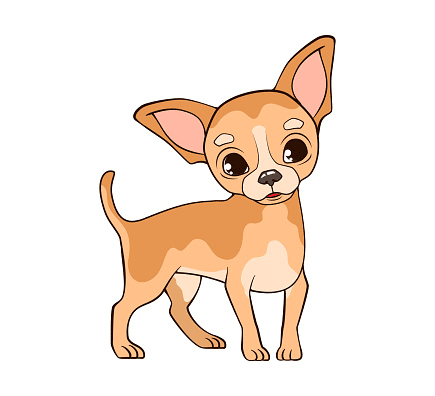 Chihuahua Clipart Png Download